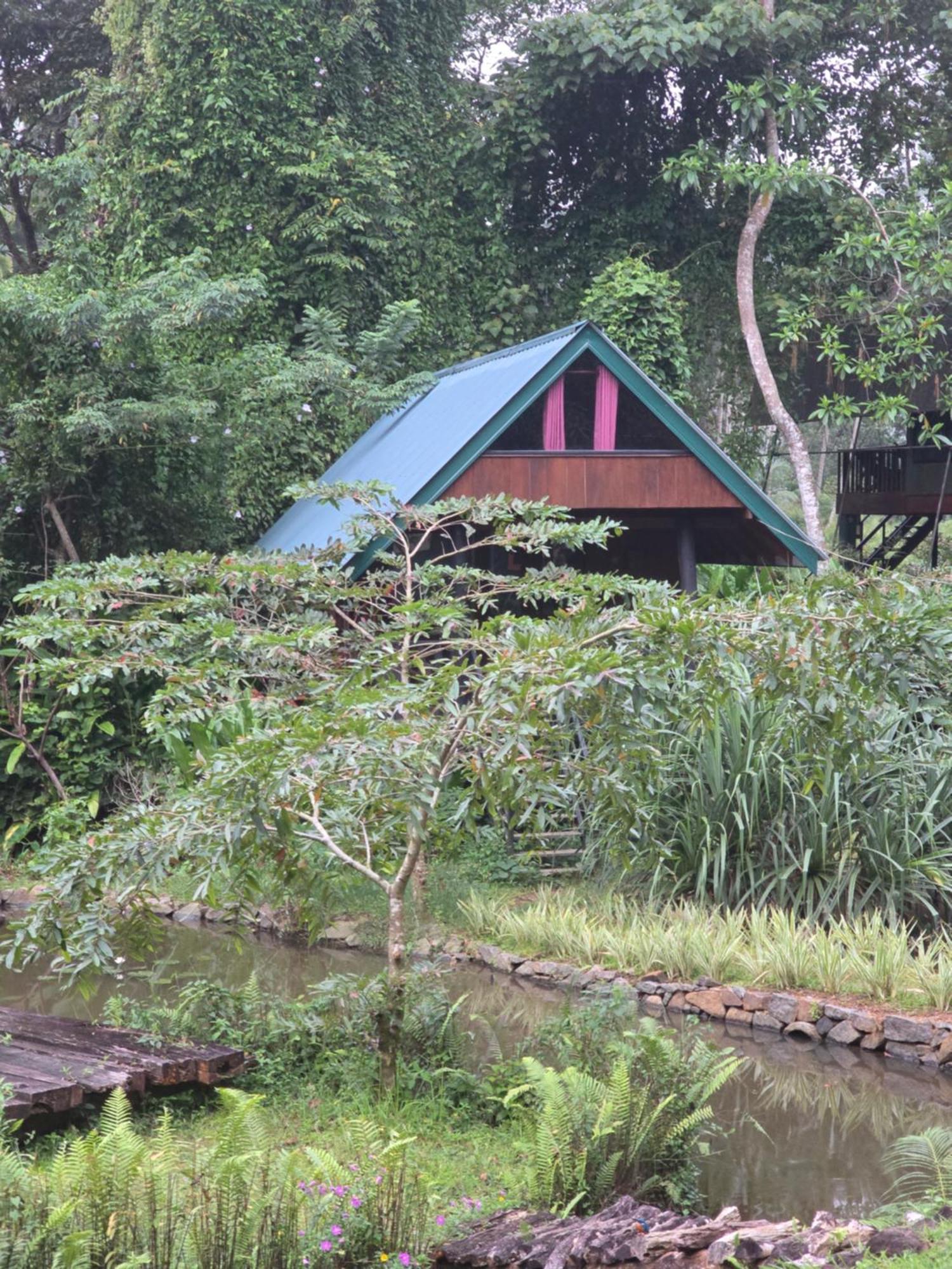 Sinharaja Forest Edge Deniyaya Zewnętrze zdjęcie