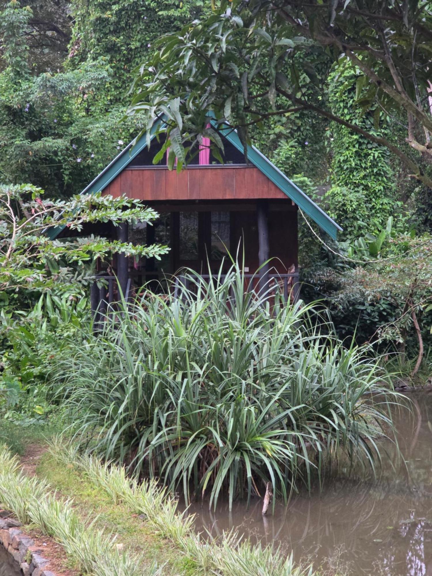 Sinharaja Forest Edge Deniyaya Zewnętrze zdjęcie