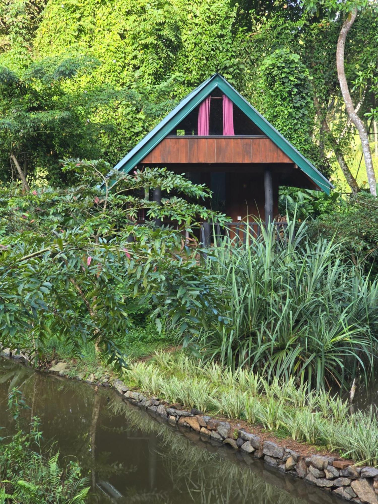 Sinharaja Forest Edge Deniyaya Zewnętrze zdjęcie