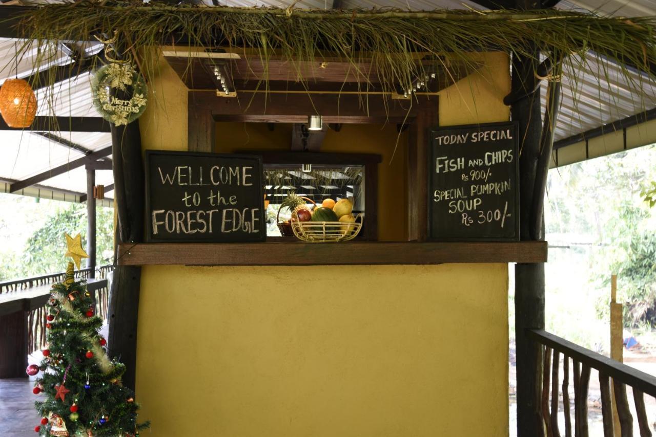 Sinharaja Forest Edge Deniyaya Zewnętrze zdjęcie