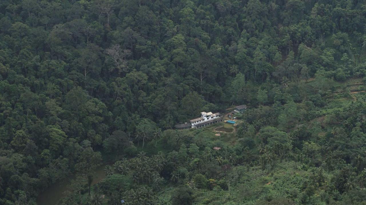 Sinharaja Forest Edge Deniyaya Zewnętrze zdjęcie